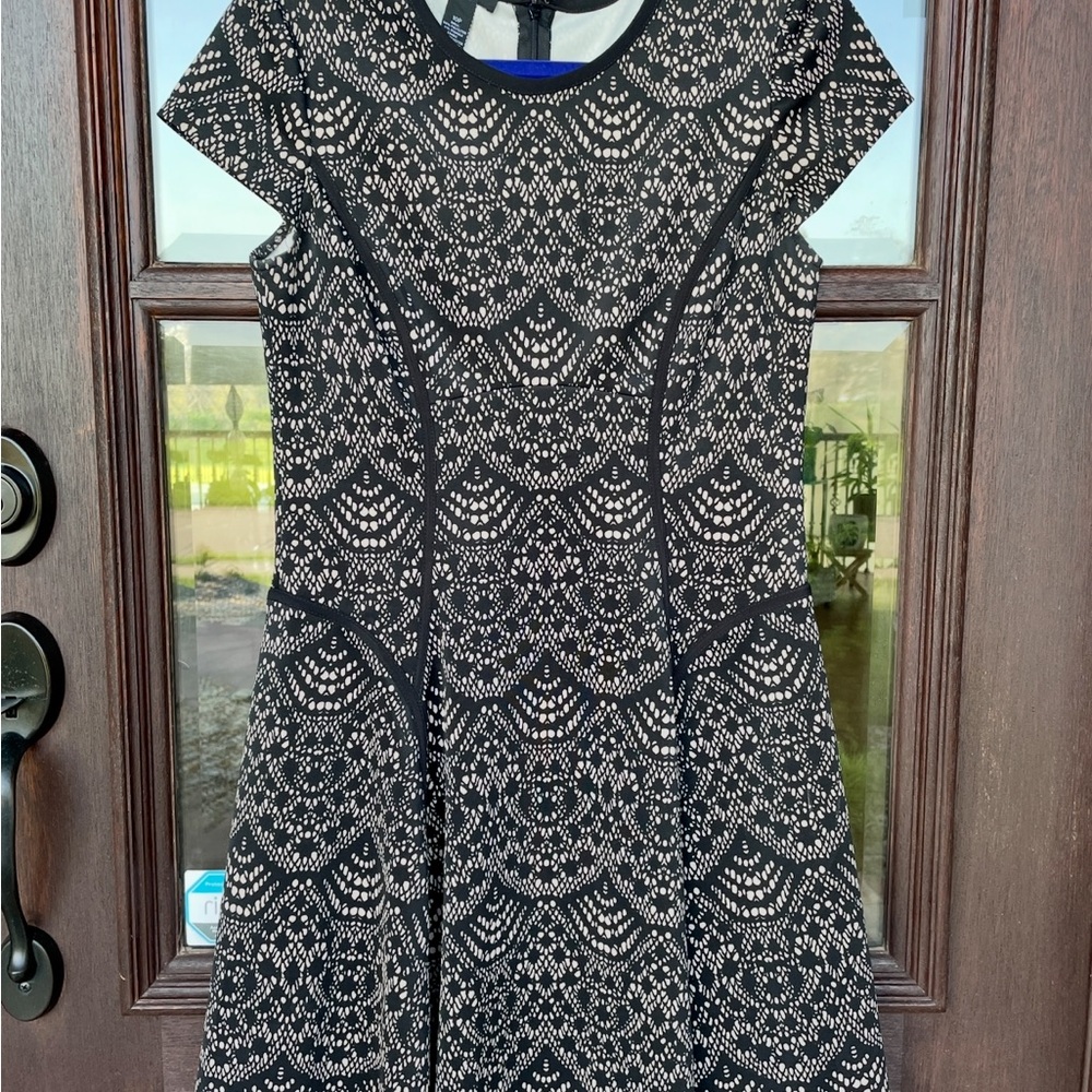 Alfani Black and White Fit and Flare Mini Dress